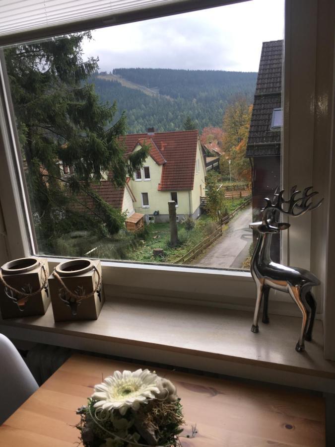 Ferienwohnung Fuchsbau Goslar Extérieur photo